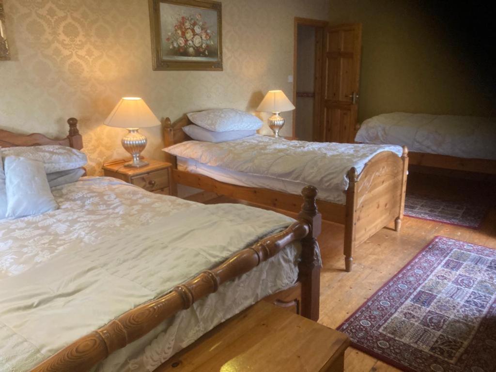 Evergreen Bed & Breakfast Swords Zewnętrze zdjęcie